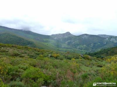 Montaña Palentina;Fuente Cobre;Tosande; la mesta la maliciosa cami de cavalls menorca puerco